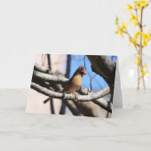 Vogelsammlung: Nordischer Kardinal (Blankonoten) Karte (Gelbe Blume)