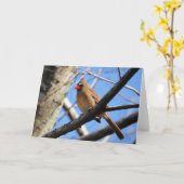 Vogelsammlung: Nordischer Kardinal (Blankonoten) Karte (Gelbe Blume)