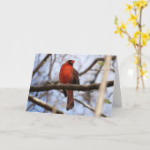 Vogelsammlung: Nordischer Kardinal (Blankonoten) Karte (Gelbe Blume)