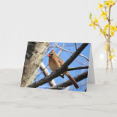 Vogelsammlung: Nordischer Kardinal (Blankonoten) Karte (Gelbe Blume)