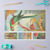 Vogelsammlung Parakeet 2a Vintage Entkopplung Seidenpapier (Basteln)