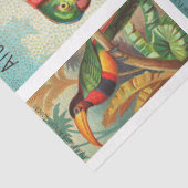 Vogelsammlung Parakeet 2a Vintage Entkopplung Seidenpapier (Detail)