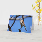Vogelsammlung: Tufted Titmouse (leere Notizen) Karte (Gelbe Blume)