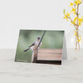Vogelsammlung: Tufted Titmouse (leere Notizen) Karte (Gelbe Blume)