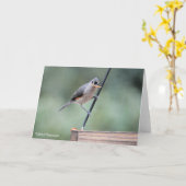 Vogelsammlung: Tufted Titmouse (leere Notizen) Karte (Gelbe Blume)