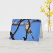 Vogelsammlung: Tufted Titmouse (leere Notizen) Karte (Gelbe Blume)