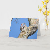 Vogelsammlung: Woodpecker (Blankonotizen) Karte (Gelbe Blume)