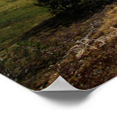 Vogelsang-Tal - Yosemite Poster (Ecke)