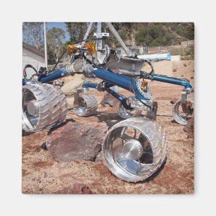 Vogelscheuche, ein Mobilitätprüfung Modell Magnet