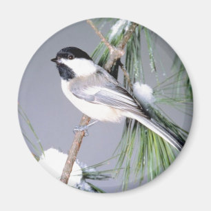 Vogelschneezweig Magnet