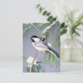 Vogelschneezweig Postkarte (Stehend Vorderseite)