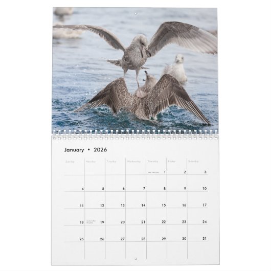 Vogelschutz-Foto 2026 Kalender (Jan 2026)
