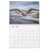 Vogelschutz-Foto 2026 Kalender (Mär 2027)