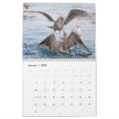 Vogelschutz-Foto 2026 Kalender (Jan 2027)