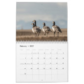 Vogelschutz-Foto 2026 Kalender (Feb 2027)