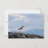 Vogelschutz-Fotokarte (Vorderseite)