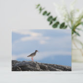 Vogelschutz-Fotokarte (Stehend Vorderseite)