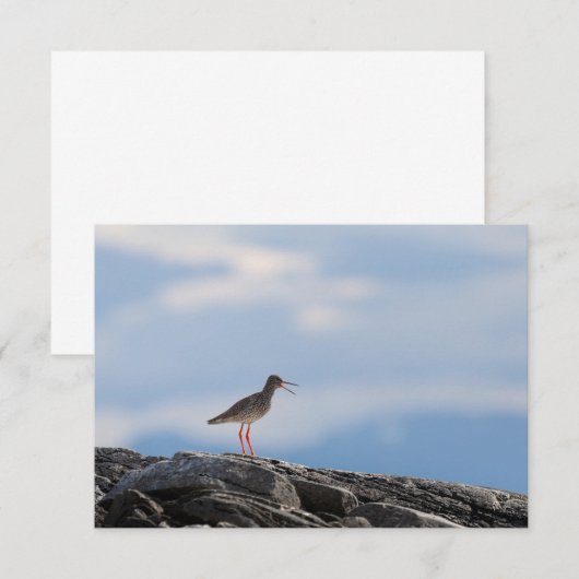 Vogelschutz-Fotokarte (Vorne/Hinten)