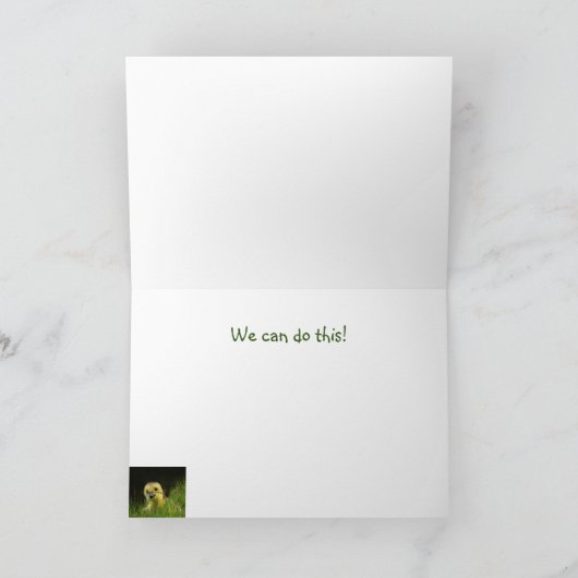 Vogelschutz Karte (Innenseite)