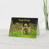 Vogelschutz Karte (Vorderseite)