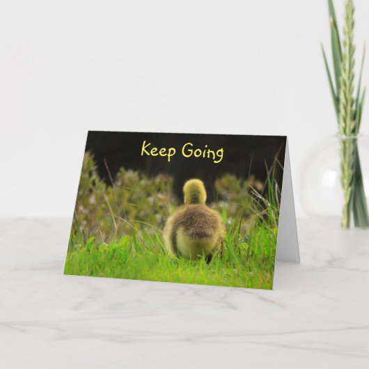 Vogelschutz Karte (Vorderseite)