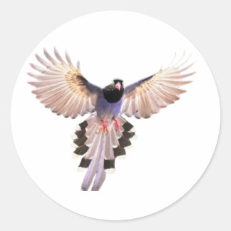 Vogelschutzaufkleber Runder Aufkleber