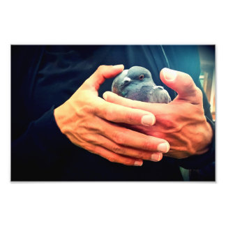 Vogelschütze Fotodruck