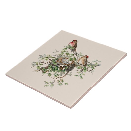 Vogelschutzgebiet Fliese (Seite)