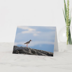 Vogelschutzgebiet-Foto Karte