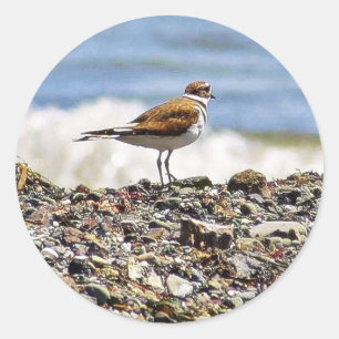 Vogelschutzgebiete Runder Aufkleber