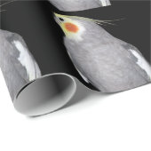 Vogelschutzpapier Geschenkpapier (Rolleneckpunkt)