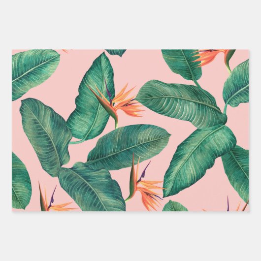 Vogelschutzpapier Geschenkpapier Set (Vorderseite 2)