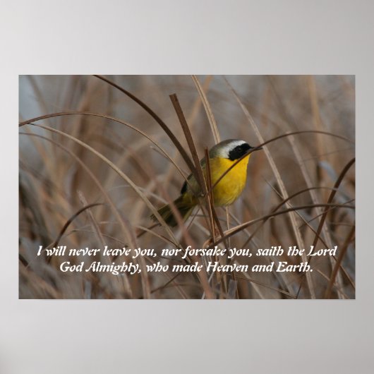 Vogelschutzposter Poster (Vorne)