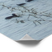 Vogelschutzschild Poster (Ecke)