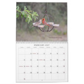 Vogelschutzzeitplan im Hinterhof Kalender (Feb 2027)
