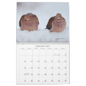 Vogelschutzzeitplan im Hinterhof Kalender (Jan 2027)
