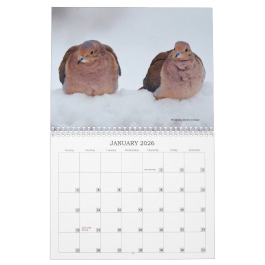 Vogelschutzzeitplan im Hinterhof Kalender (Jan 2026)