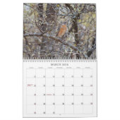 Vogelschutzzeitplan im Hinterhof Kalender (Mär 2026)