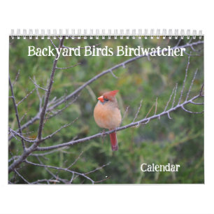 Vogelschutzzeitplan im Hinterhof Kalender