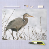 Vogelschutzzettel Seidenpapier (Handwerk)