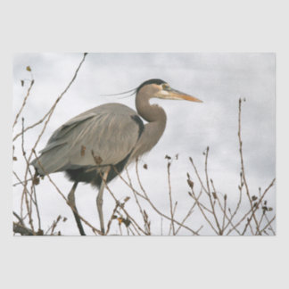 Vogelschutzzettel Seidenpapier