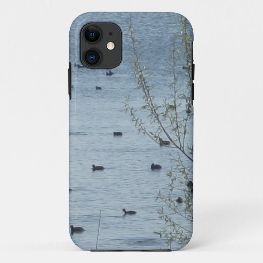 Vogelsee iPhone 5 Selten dort Fall Case-Mate iPhone Hülle (Rückseite)