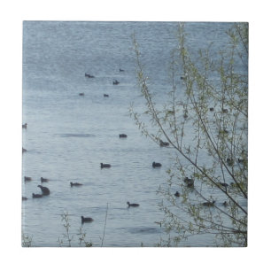 Vogelsee-Tile Fliese