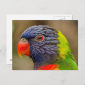 Vogelsittich Postkarte (Vorne/Hinten)