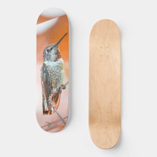 Vogelskateboard Skateboard (Vorderseite)