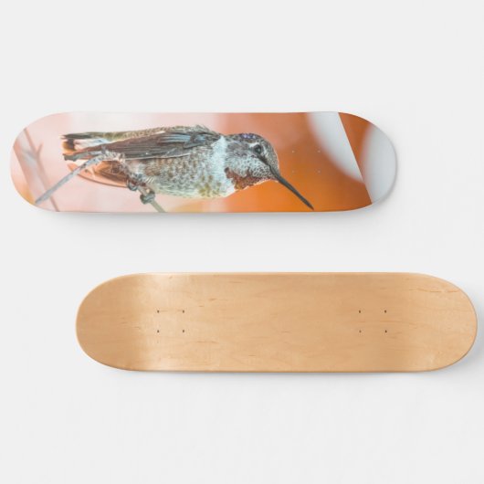 Vogelskateboard Skateboard (Horizontal)