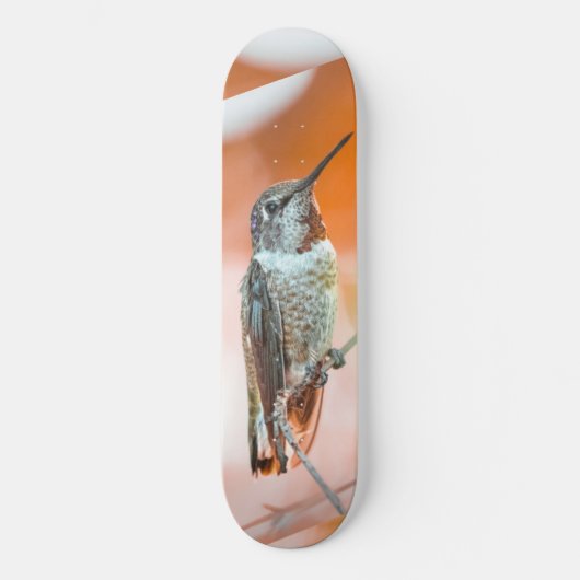 Vogelskateboard Skateboard (Vorderseite)