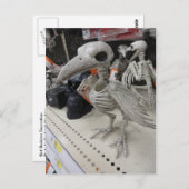 Vogelskelettdekoration Postkarte (Vorne/Hinten)