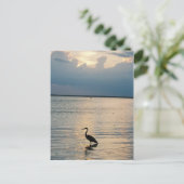 Vogelsonne Postkarte (Stehend Vorderseite)