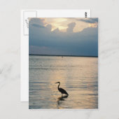 Vogelsonne Postkarte (Vorne/Hinten)